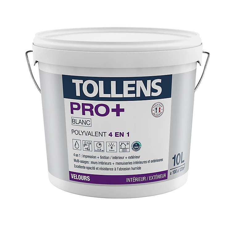 Castorama Peinture 4 En 1 Tollens Pro+ Blanche Velours 10L 3 Castorama Peinture 4 En 1 Tollens Pro+ Blanche Velours 10L