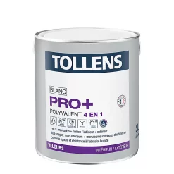 Castorama Peinture 4 En 1 Tollens Pro+ Blanche Velours 3L