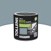 Castorama Peinture Bois Extérieur Premium Acier Satin Tollens 0,5L
