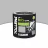 Castorama Peinture Bois Extérieur Premium Platine Satin Tollens 0,5L -France Peinture extérieure Soldes Boutique peinture bois exterieur premium platine satin tollens 0 5l3463975084265 02c