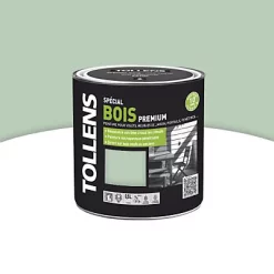Castorama Peinture Bois Extérieur Premium Vert Olivier Satin Tollens 0,5L