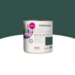 Castorama Peinture Extérieure Multi-supports Vert Basque Satin Colours 0,25L