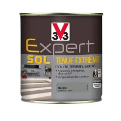 Castorama Peinture Pour Sol Intérieur Extérieur Tenue Extrême V33 Poudre De Marbre 2,5L