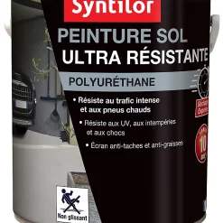 Castorama Peinture Pour Sol Ultra Résistante Rivet Satin Syntilor 4L