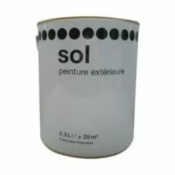 Castorama Peinture Sol Blanc Satin 2,5L