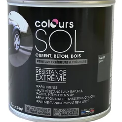 Castorama Peinture Sol Premium Basalte Satin Colours 0,5L